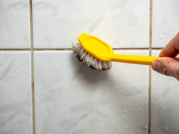 Best Mold Remediation  in North Webster, IN