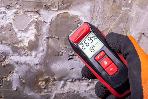 Professional Mold Removal in North Webster, IN