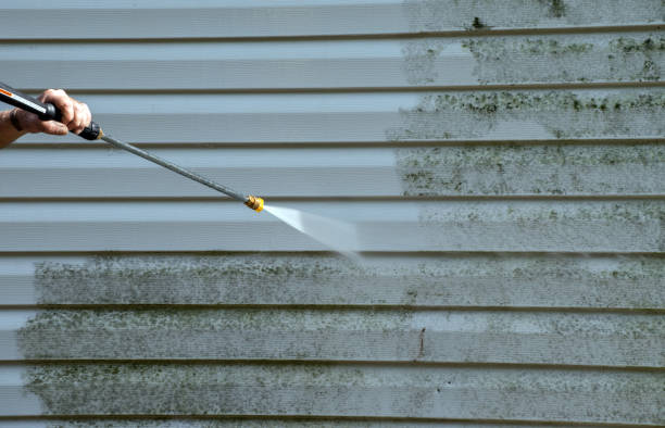Best Mold Cleaning Services  in North Webster, IN