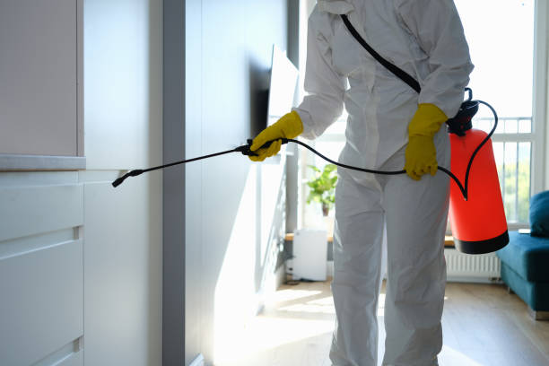 Water Damage Restoration in North Webster, IN