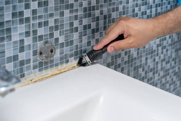 Best Mold Removal Near Me  in North Webster, IN
